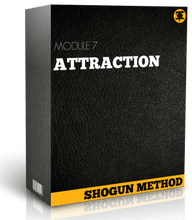 Load image into Gallery viewer, THE SHOGUN METHOD