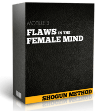 Load image into Gallery viewer, THE SHOGUN METHOD
