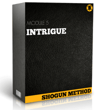 Load image into Gallery viewer, THE SHOGUN METHOD
